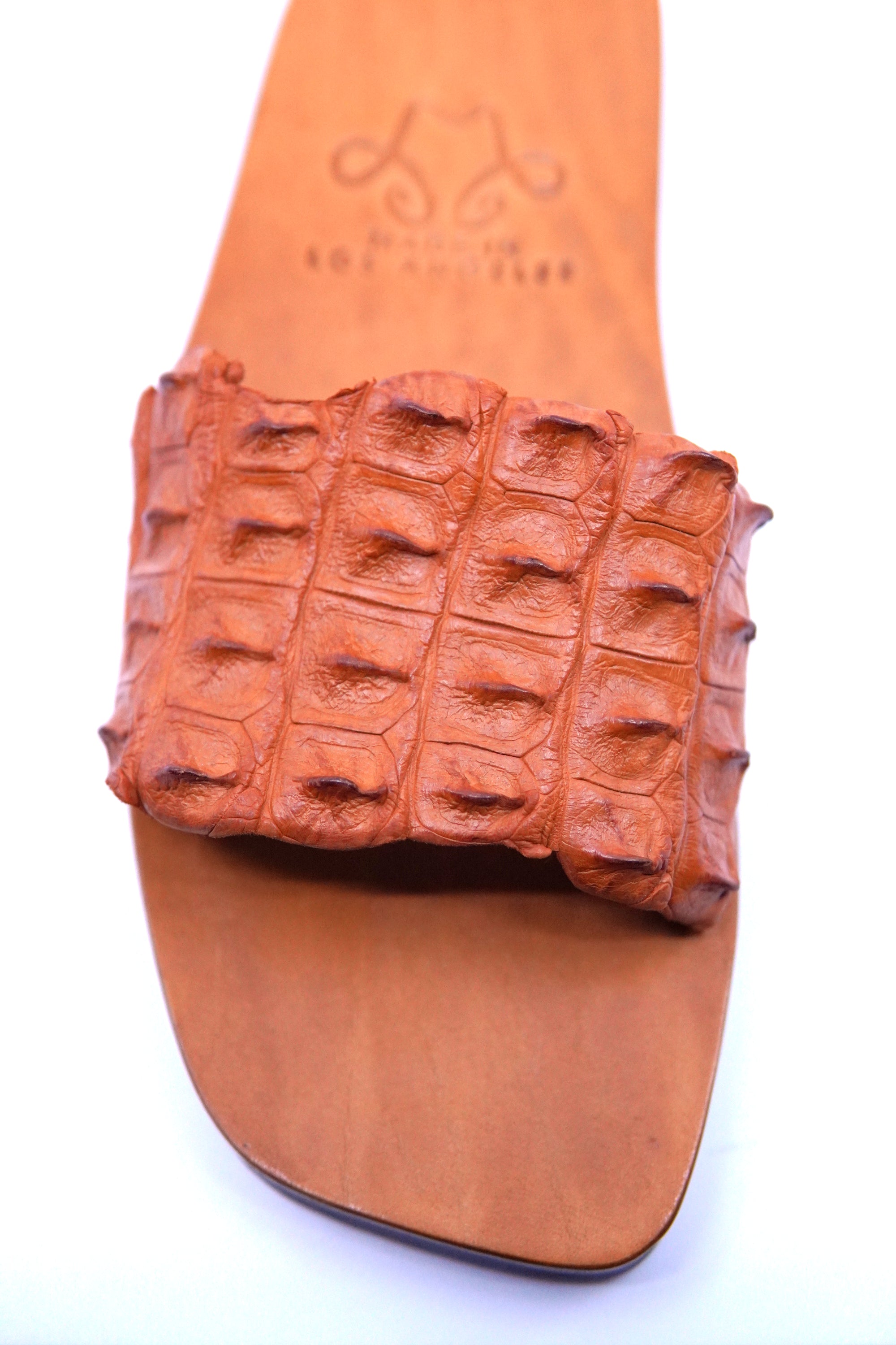 Hornback Alligator Slides image 4