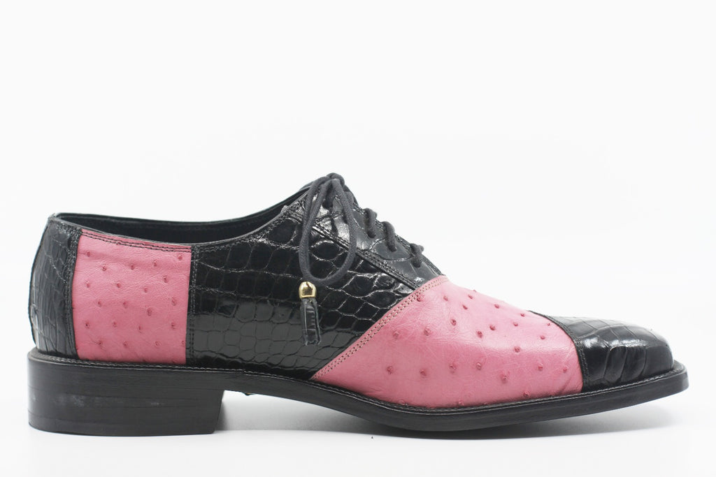 Alligator & Ostrich Size 12 image 0