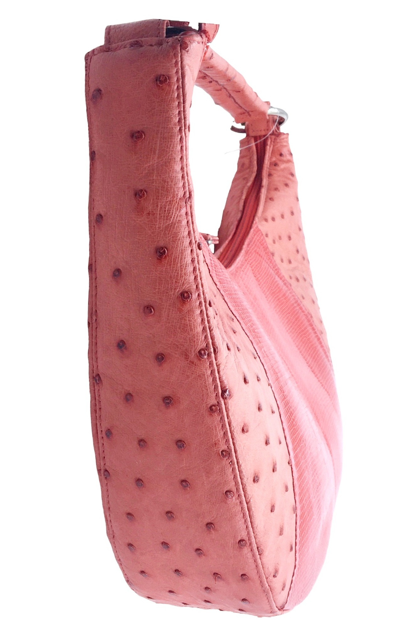 Ostrich and Lizard Purse  image 2