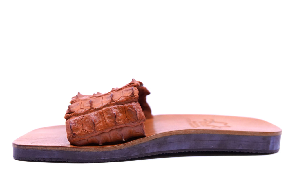Hornback Alligator Slides image 3