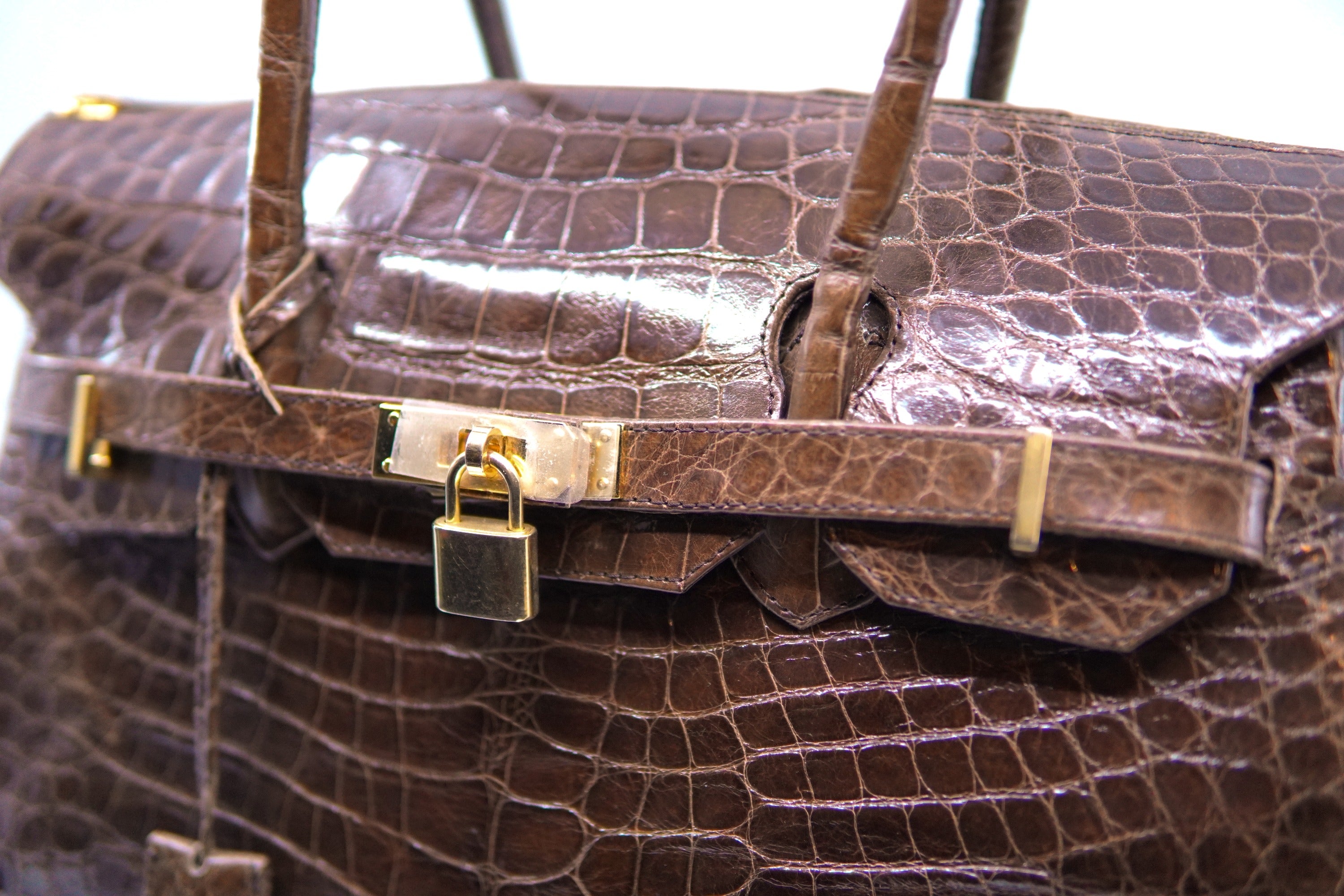 Full Alligator Large Purse image 1