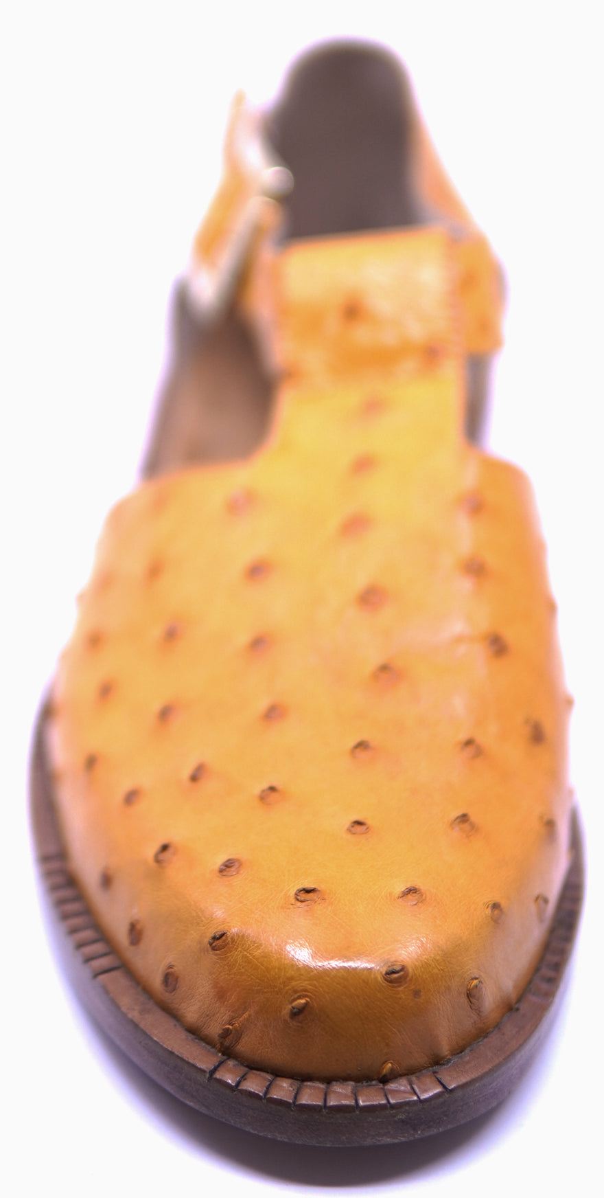 Genuine Ostrich Sandals image 3