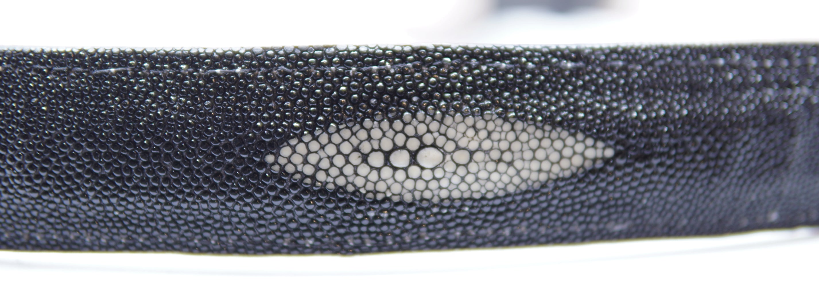 Genuine Stingray Western Belt 48" image 3