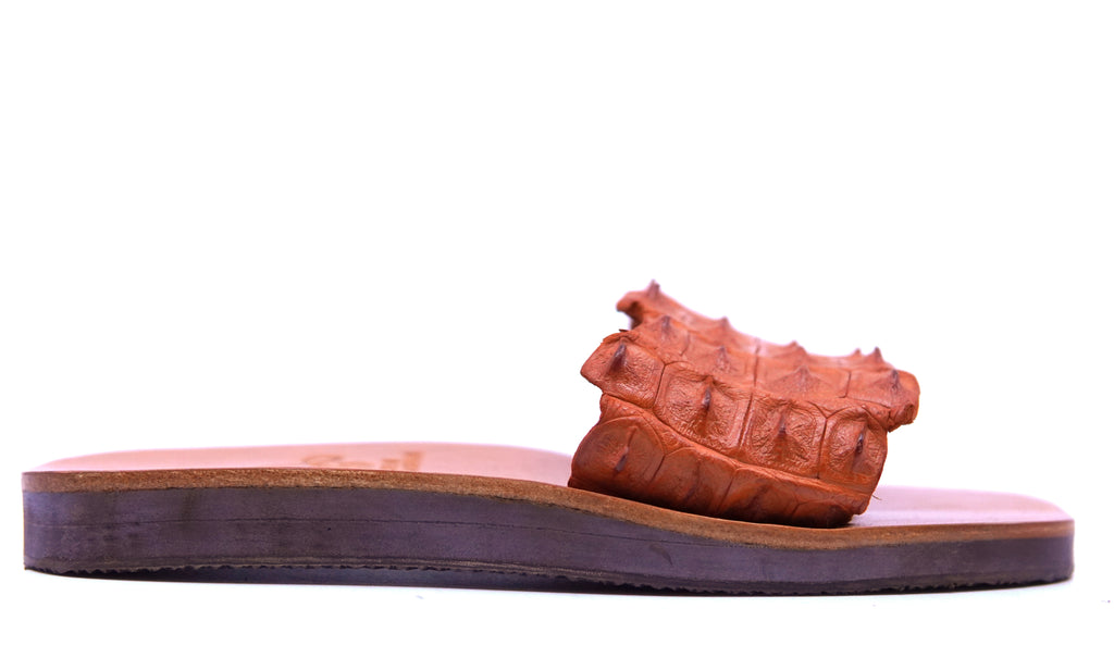 Hornback Alligator Slides image 0