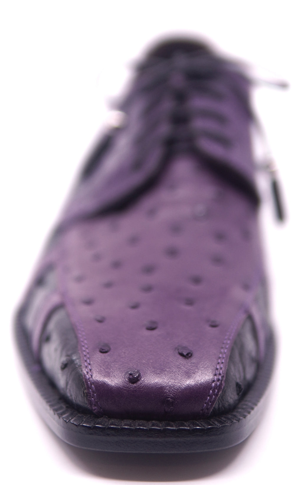 Ostrich Dress Shoe  image 3