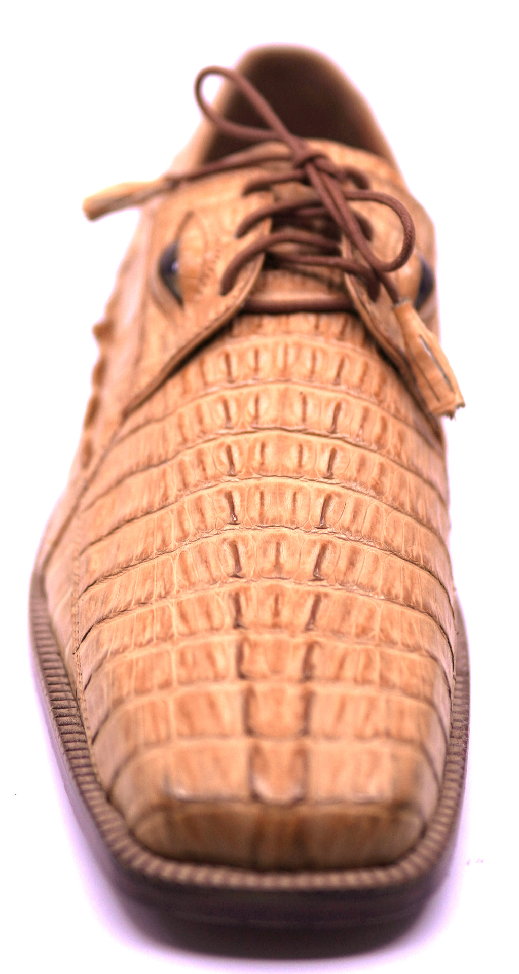 Buttercup Crocodile Tail with Eyes Dress Shoe image 3