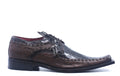 Brown Croc and Ostrich Dress Shoe US 10 image 0