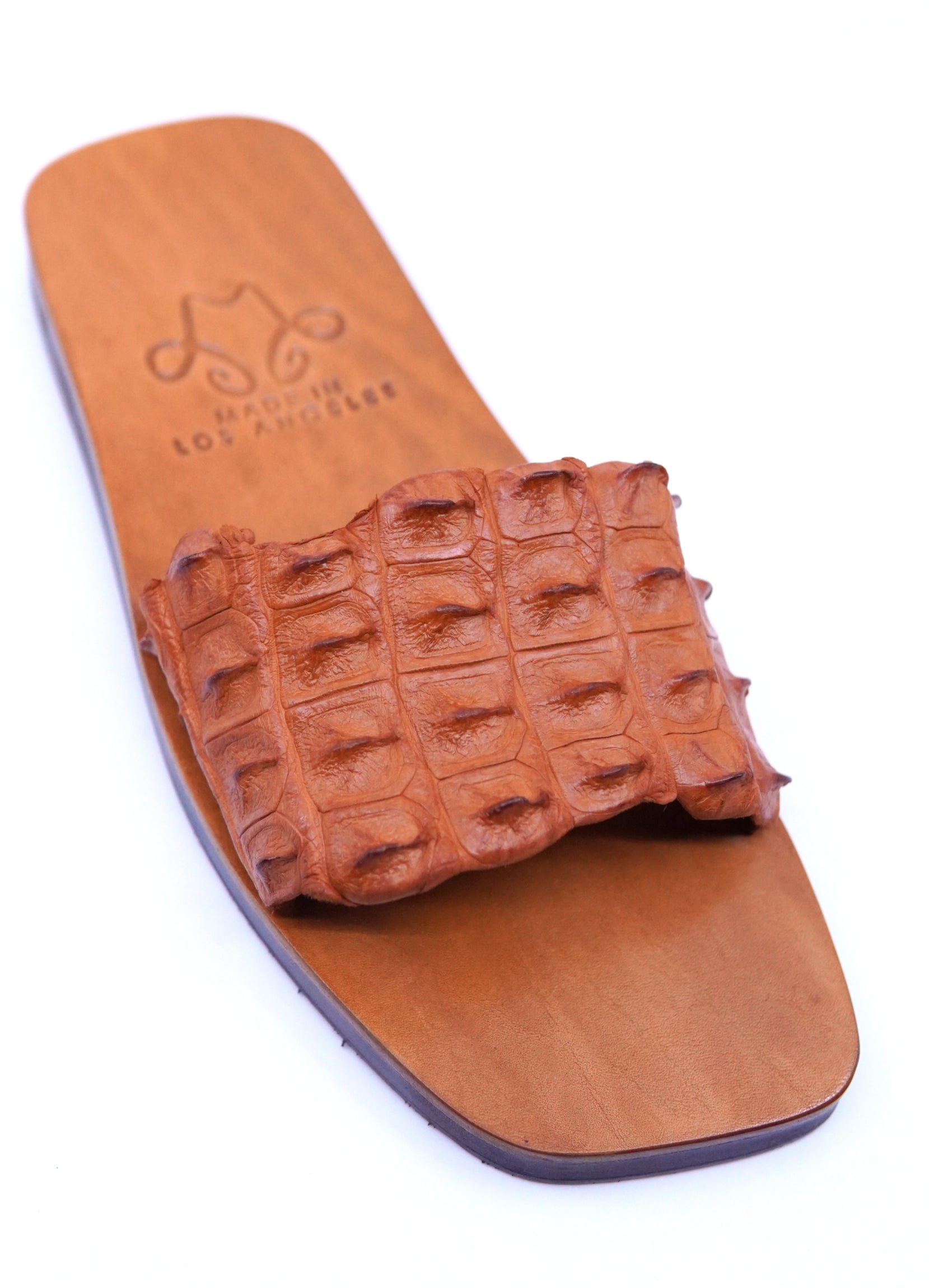 Hornback Alligator Slides image 2