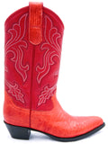 Lizard Western Boots USA- 9 Women's