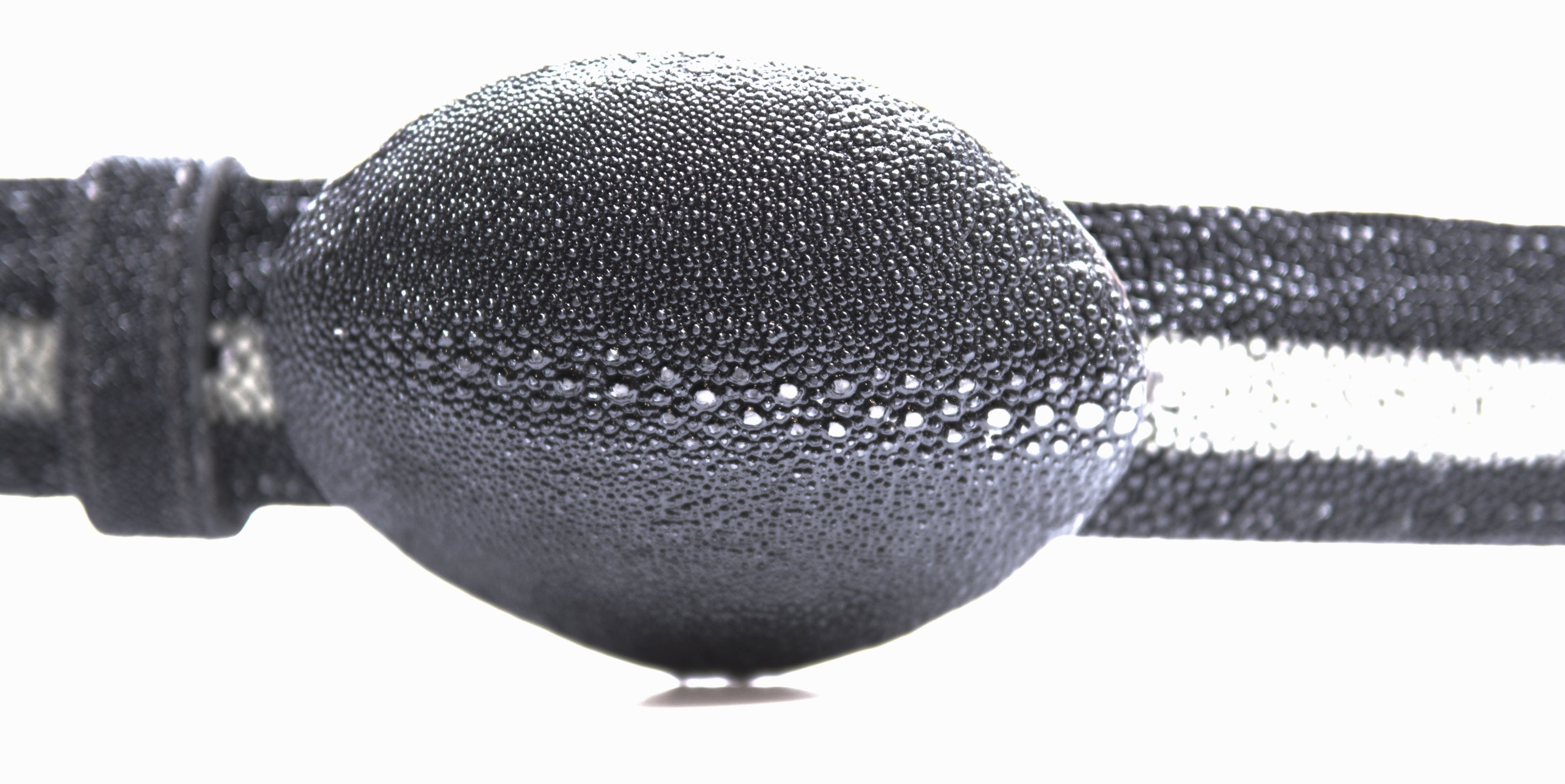 Genuine Stingray Western Belt 48" image 0