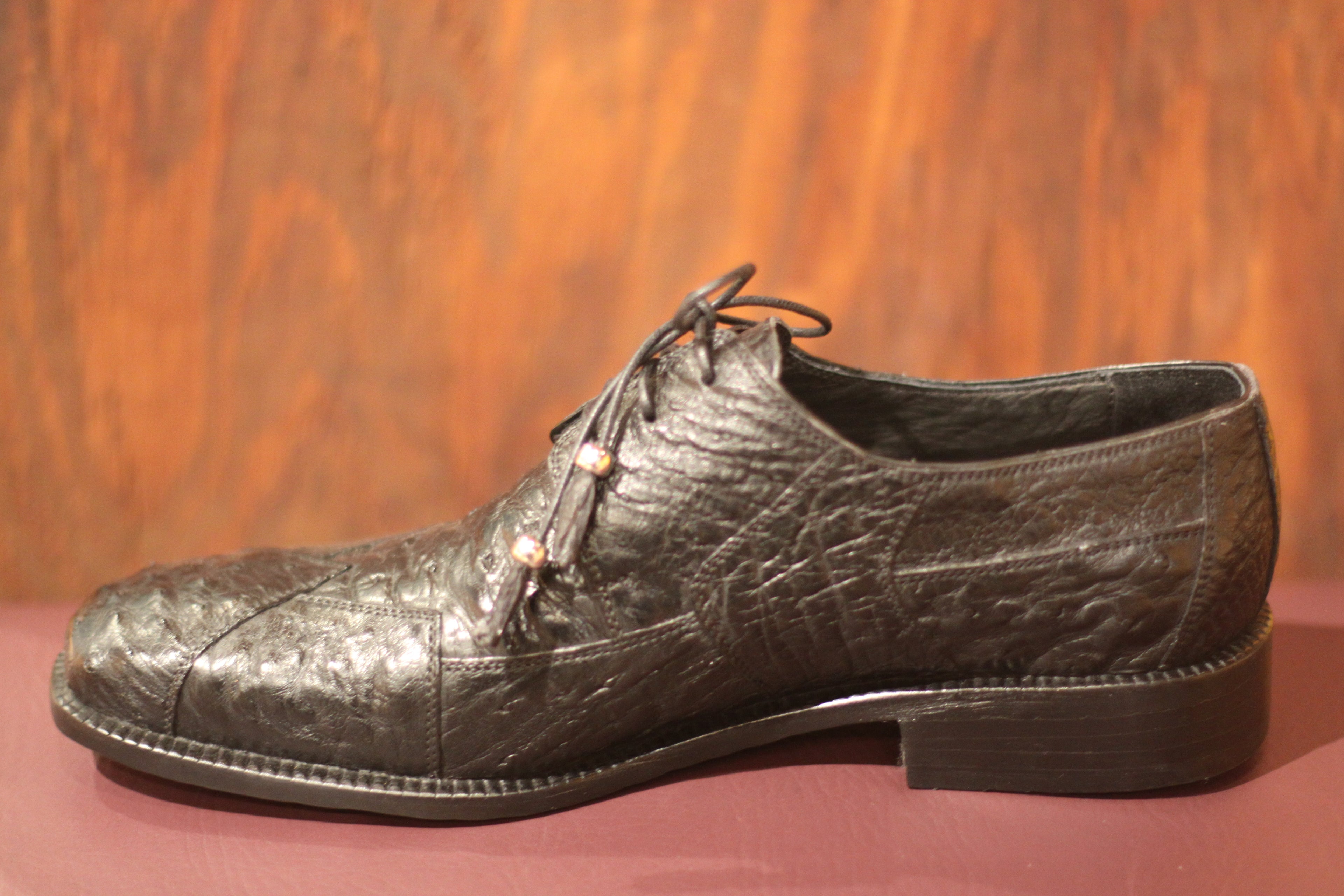 Ostrich 007 (M Size 11) image 3