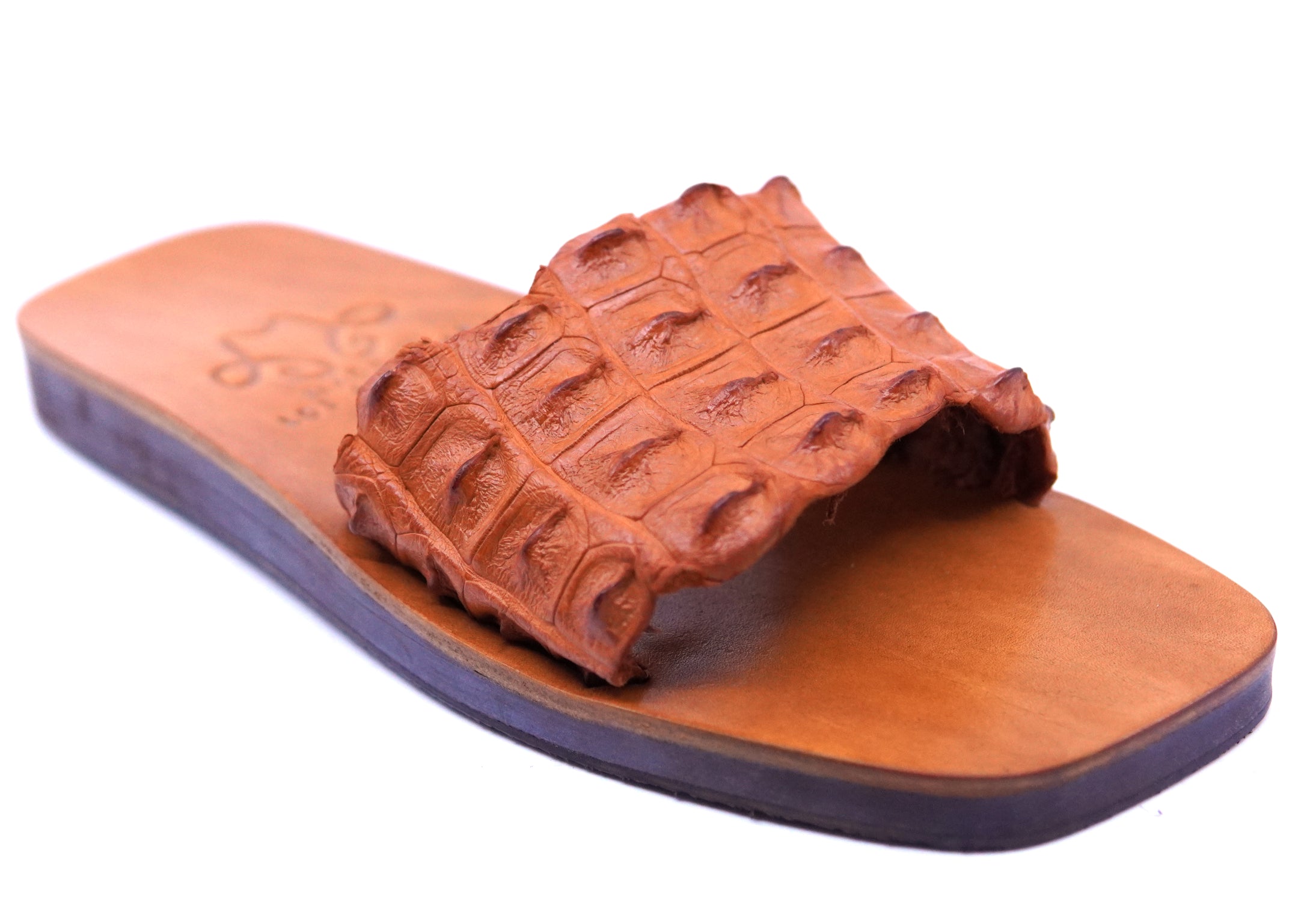 Hornback Alligator Slides image 1