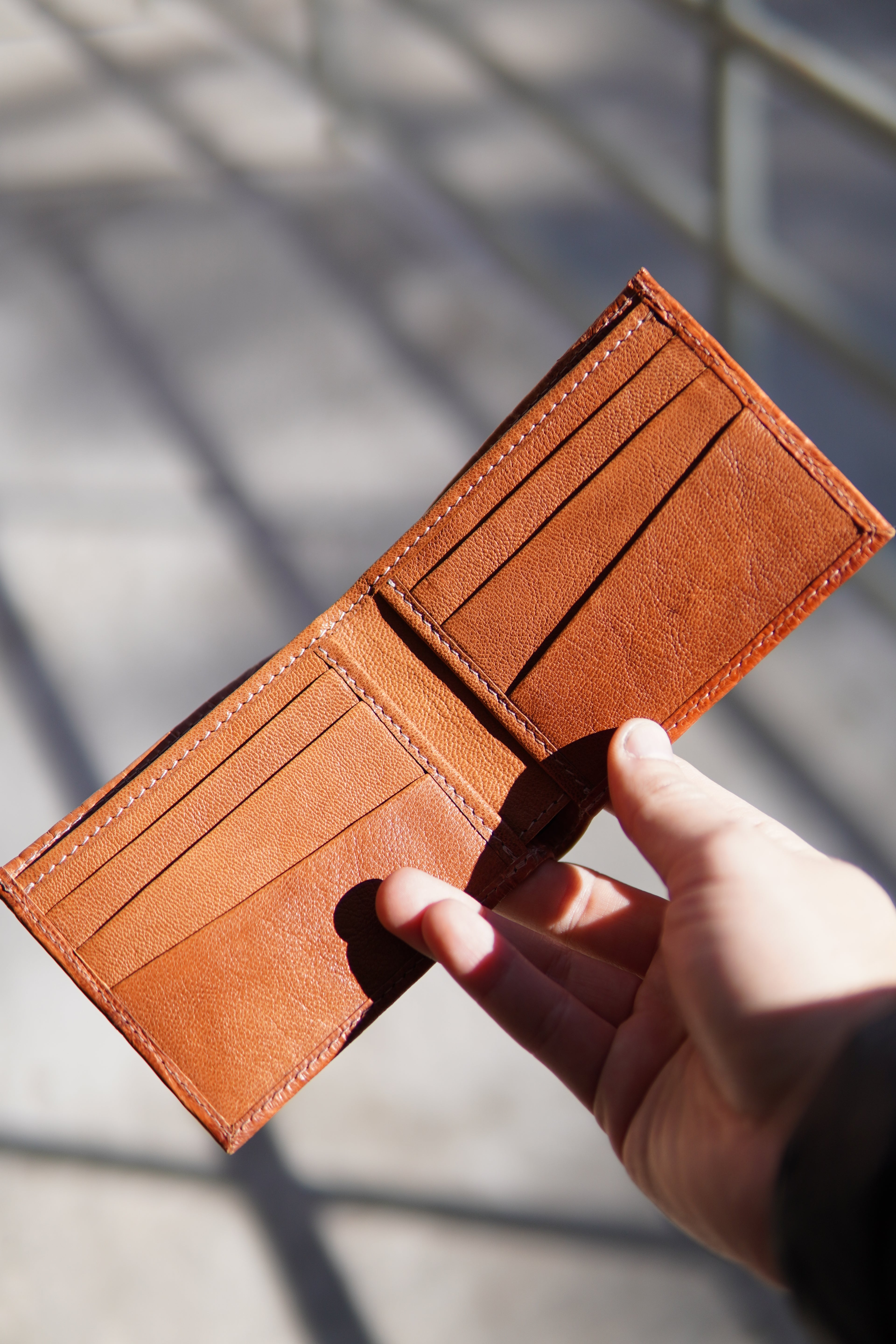 Alligator Belly Bi Fold Wallet image 1